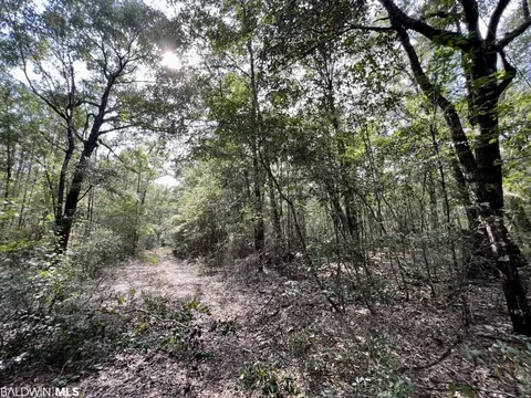 0 Bear Fork Rd, Mobile, AL 36618 photo 21