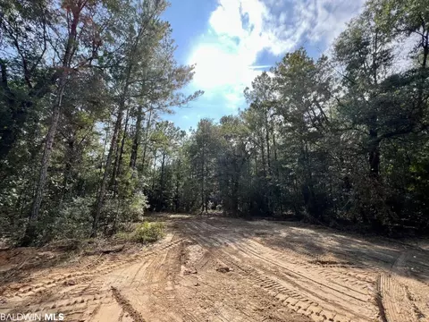 0 Bear Fork Rd, Mobile, AL 36618 photo 18