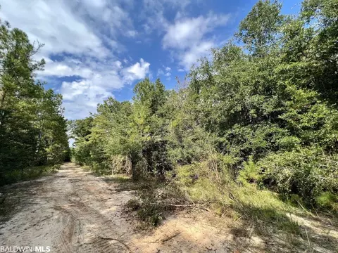 0 Bear Fork Rd, Mobile, AL 36618 photo 17
