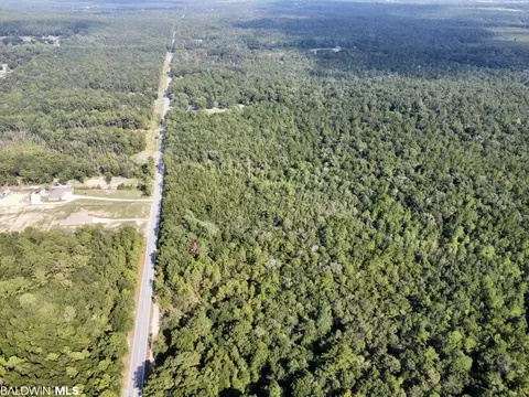 0 Bear Fork Rd, Mobile, AL 36618 photo 9