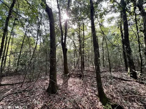 0 Bear Fork Rd, Mobile, AL 36618 photo 23