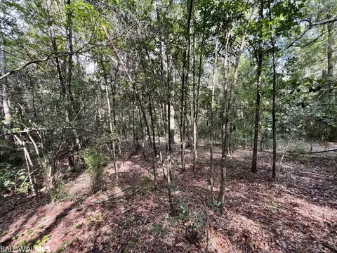 0 Bear Fork Rd, Mobile, AL 36618 photo 24
