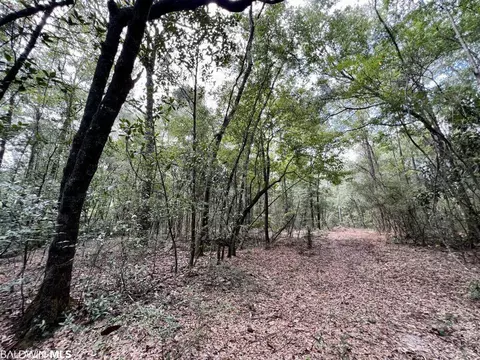 0 Bear Fork Rd, Mobile, AL 36618 photo 32