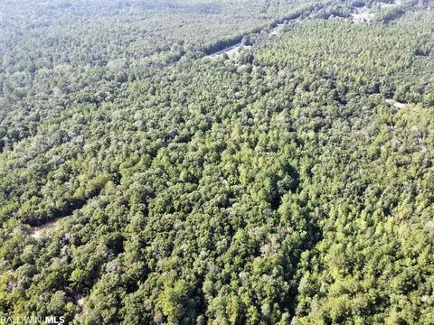 0 Bear Fork Rd, Mobile, AL 36618 photo 14