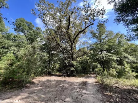 0 Bear Fork Rd, Mobile, AL 36618 photo 5