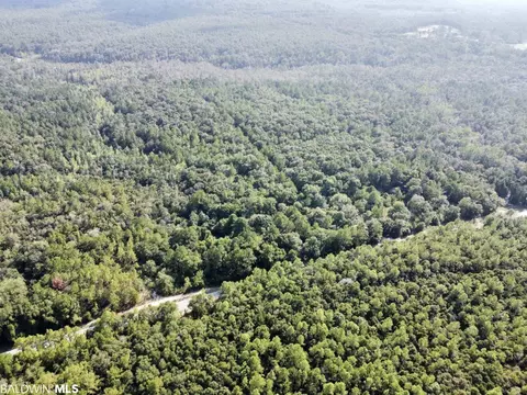 0 Bear Fork Rd, Mobile, AL 36618 photo 12