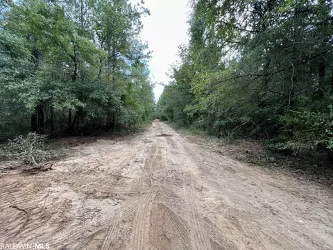 0 Bear Fork Rd, Mobile, AL 36618 photo 49