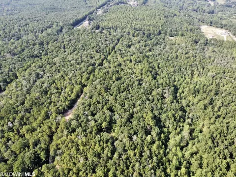 0 Bear Fork Rd, Mobile, AL 36618 photo 15
