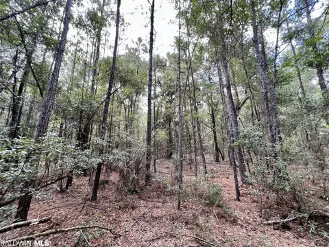 0 Bear Fork Rd, Mobile, AL 36618 photo 30