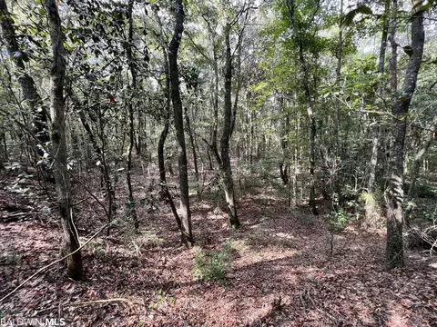 0 Bear Fork Rd, Mobile, AL 36618 photo 25