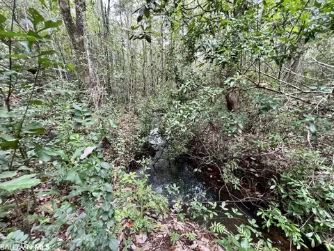 0 Bear Fork Rd, Mobile, AL 36618 photo 38