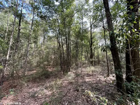 0 Bear Fork Rd, Mobile, AL 36618 photo 20