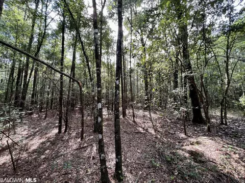 0 Bear Fork Rd, Mobile, AL 36618 photo 27