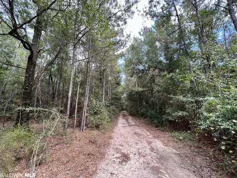 0 Bear Fork Rd, Mobile, AL 36618 photo 45