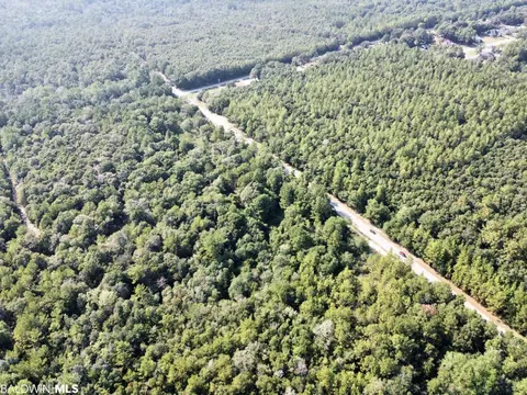 0 Bear Fork Rd, Mobile, AL 36618 photo 13
