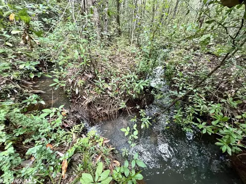 0 Bear Fork Rd, Mobile, AL 36618 photo 36