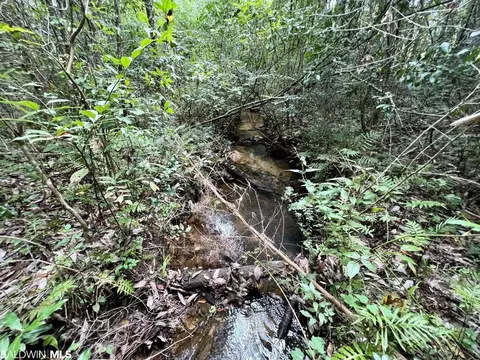 0 Bear Fork Rd, Mobile, AL 36618 photo 37