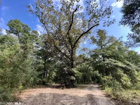 0 Bear Fork Rd, Mobile, AL 36618 photo 4