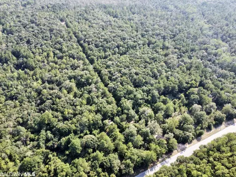 0 Bear Fork Rd, Mobile, AL 36618 photo 10