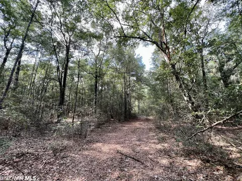 0 Bear Fork Rd, Mobile, AL 36618 photo 28