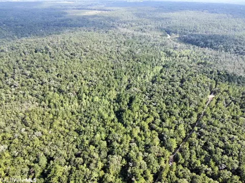 0 Bear Fork Rd, Mobile, AL 36618 photo 8