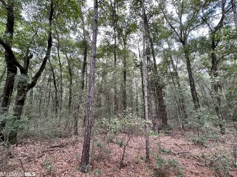 0 Bear Fork Rd, Mobile, AL 36618 photo 50