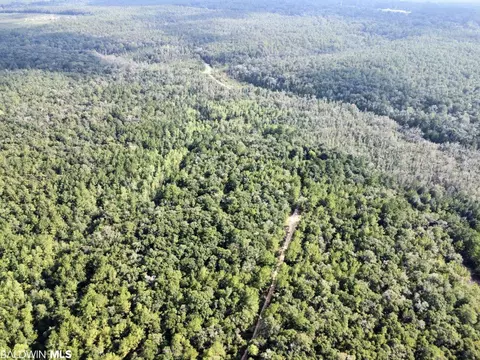 0 Bear Fork Rd, Mobile, AL 36618 photo 7