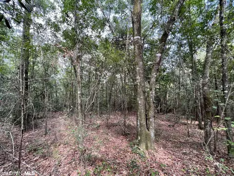 0 Bear Fork Rd, Mobile, AL 36618 photo 29