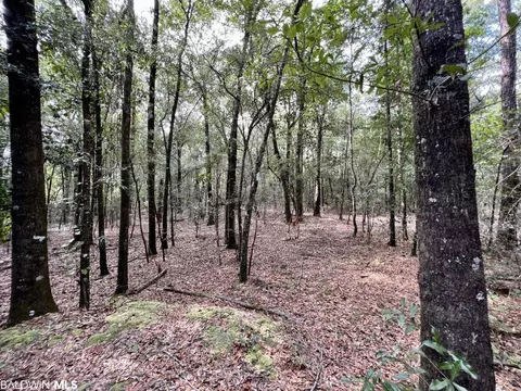 0 Bear Fork Rd, Mobile, AL 36618 photo 31
