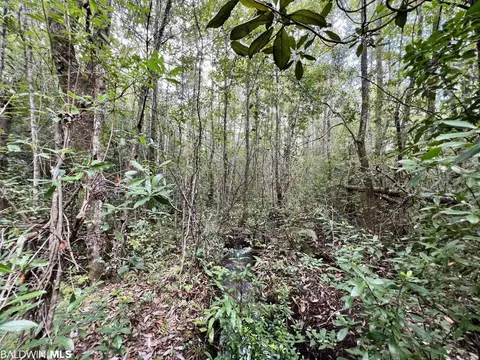 0 Bear Fork Rd, Mobile, AL 36618 photo 35