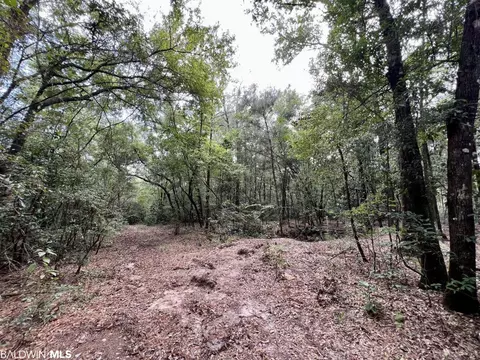 0 Bear Fork Rd, Mobile, AL 36618 photo 42