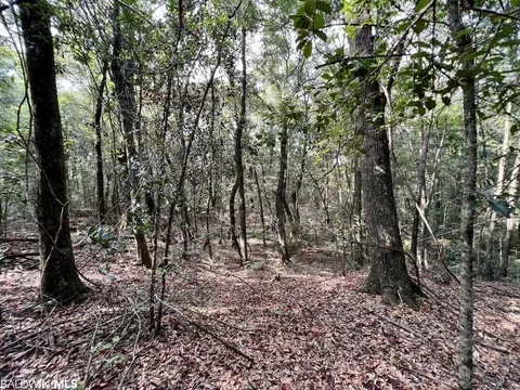 0 Bear Fork Rd, Mobile, AL 36618 photo 26