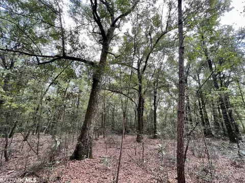 0 Bear Fork Rd, Mobile, AL 36618 photo 43
