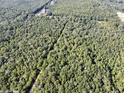 0 Bear Fork Rd, Mobile, AL 36618 photo 16