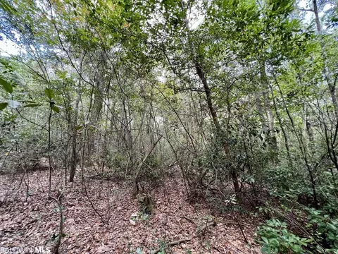 0 Bear Fork Rd, Mobile, AL 36618 photo 33