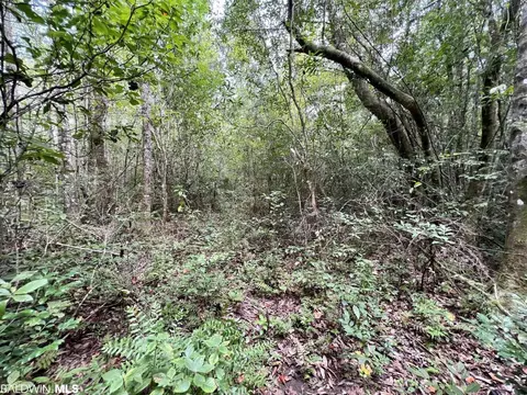 0 Bear Fork Rd, Mobile, AL 36618 photo 34