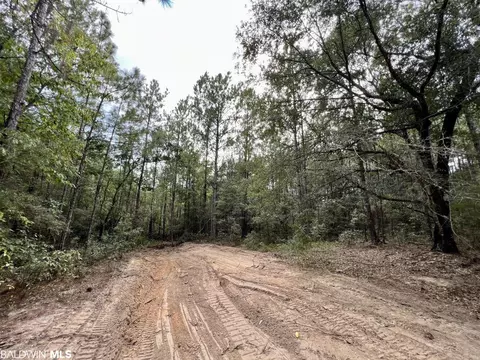 0 Bear Fork Rd, Mobile, AL 36618 photo 47