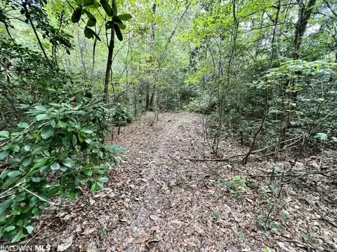 0 Bear Fork Rd, Mobile, AL 36618 photo 41