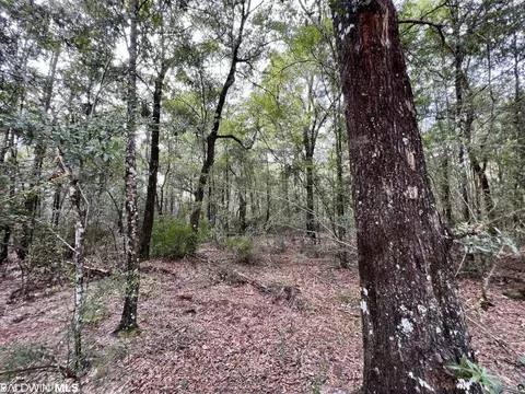 0 Bear Fork Rd, Mobile, AL 36618 photo 48