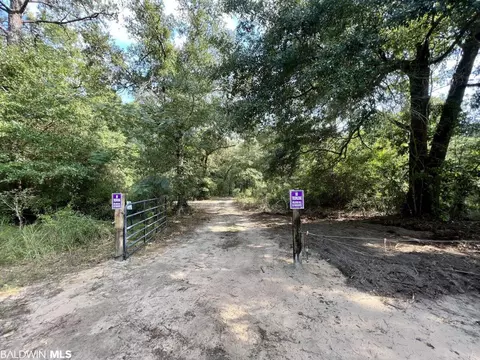 0 Bear Fork Rd, Mobile, AL 36618 photo 6