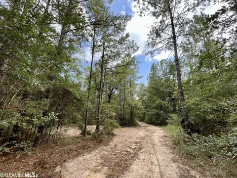 0 Bear Fork Rd, Mobile, AL 36618 photo 46