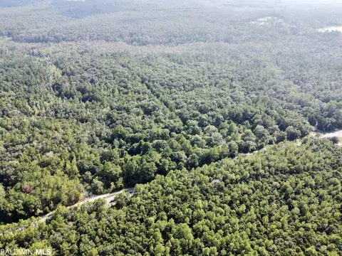 0 Bear Fork Rd, Mobile, AL 36618 photo 11
