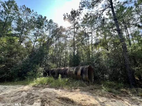0 Bear Fork Rd, Mobile, AL 36618 photo 19