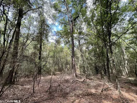 0 Bear Fork Rd, Mobile, AL 36618 photo 44