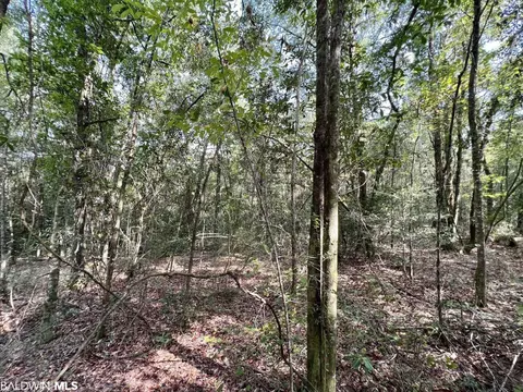 0 Bear Fork Rd, Mobile, AL 36618 photo 22
