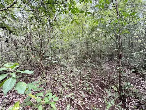 0 Bear Fork Rd, Mobile, AL 36618 photo 39