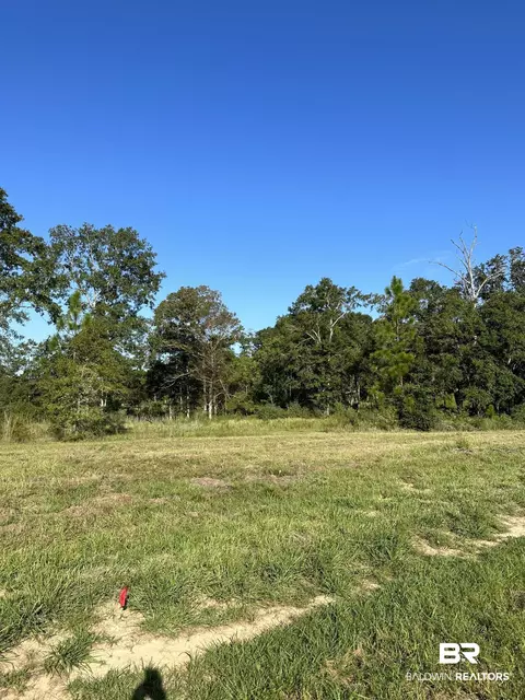 0 Hampton Ridge Ct, Mobile, AL 36608 photo 6
