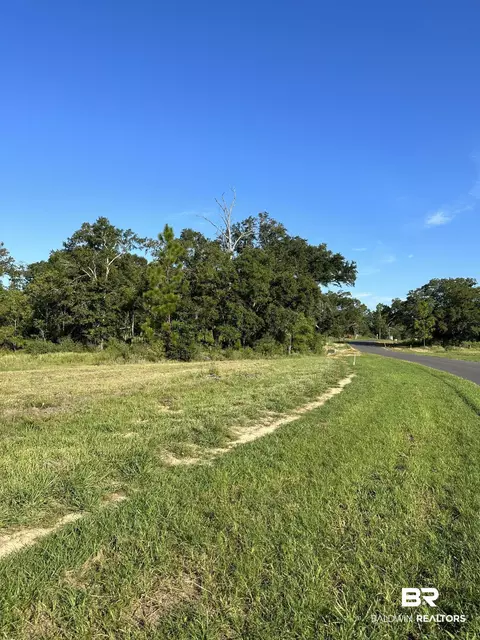 0 Hampton Ridge Ct, Mobile, AL 36608 photo 4