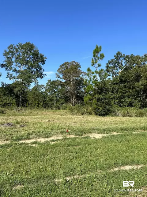 0 Hampton Ridge Ct, Mobile, AL 36608 photo 7