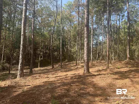 0 Highway 59, Stapleton, AL 36578 photo 3